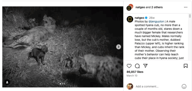 National Geographic Social-Media-Strategie