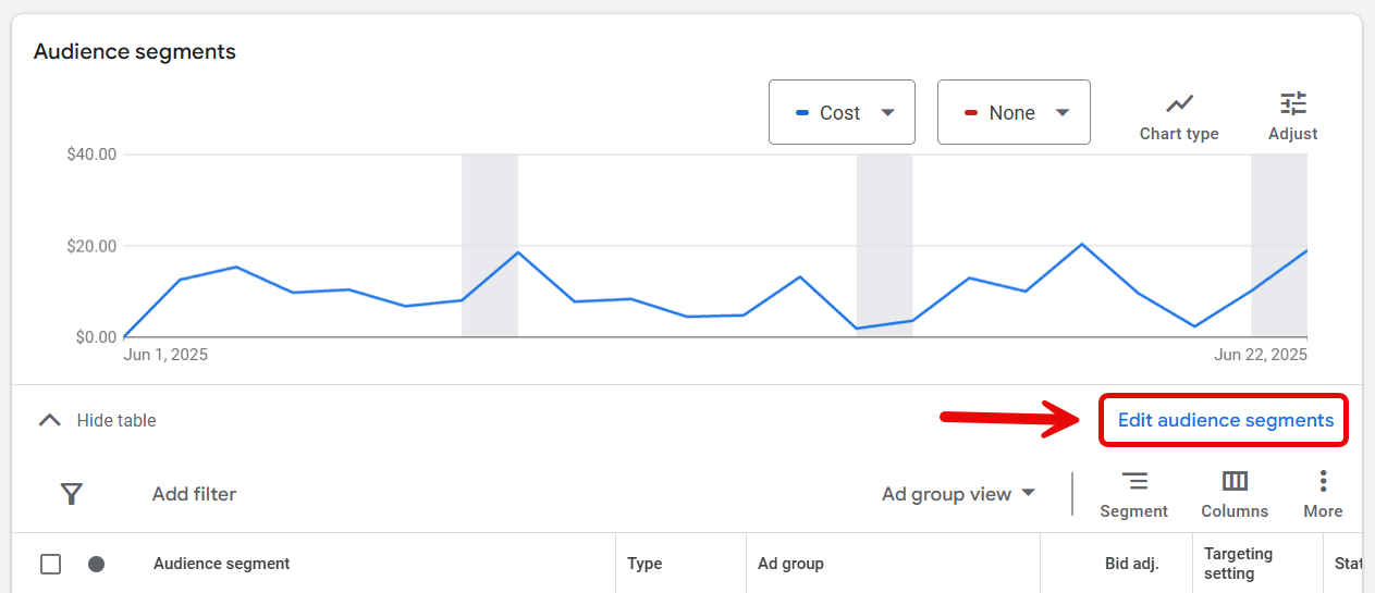 Google ADS -Zielgruppen, die sich auf Zusammenfassung der Zusammenfassung abzielen