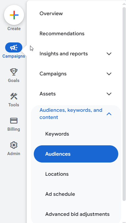 Google Ads Publikum Targeting Setting