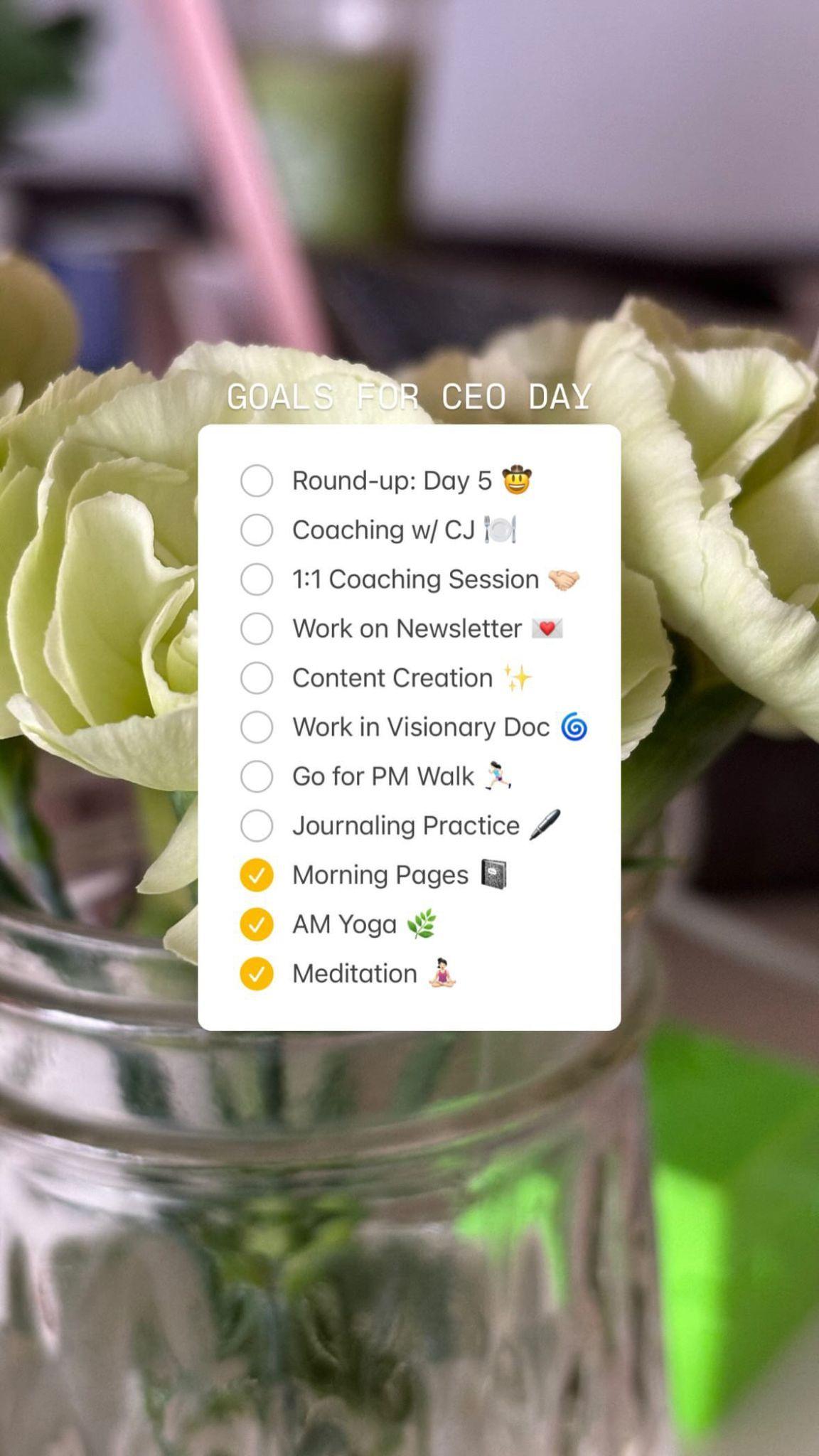 Checkliste de las metas de una CEO en una historia de Instagram