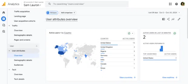 Resume de Propiedades de Usuario de Google Analytics