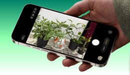 So setzen Sie die iPhone -Kamera auf die Standardeinstellungen zurück