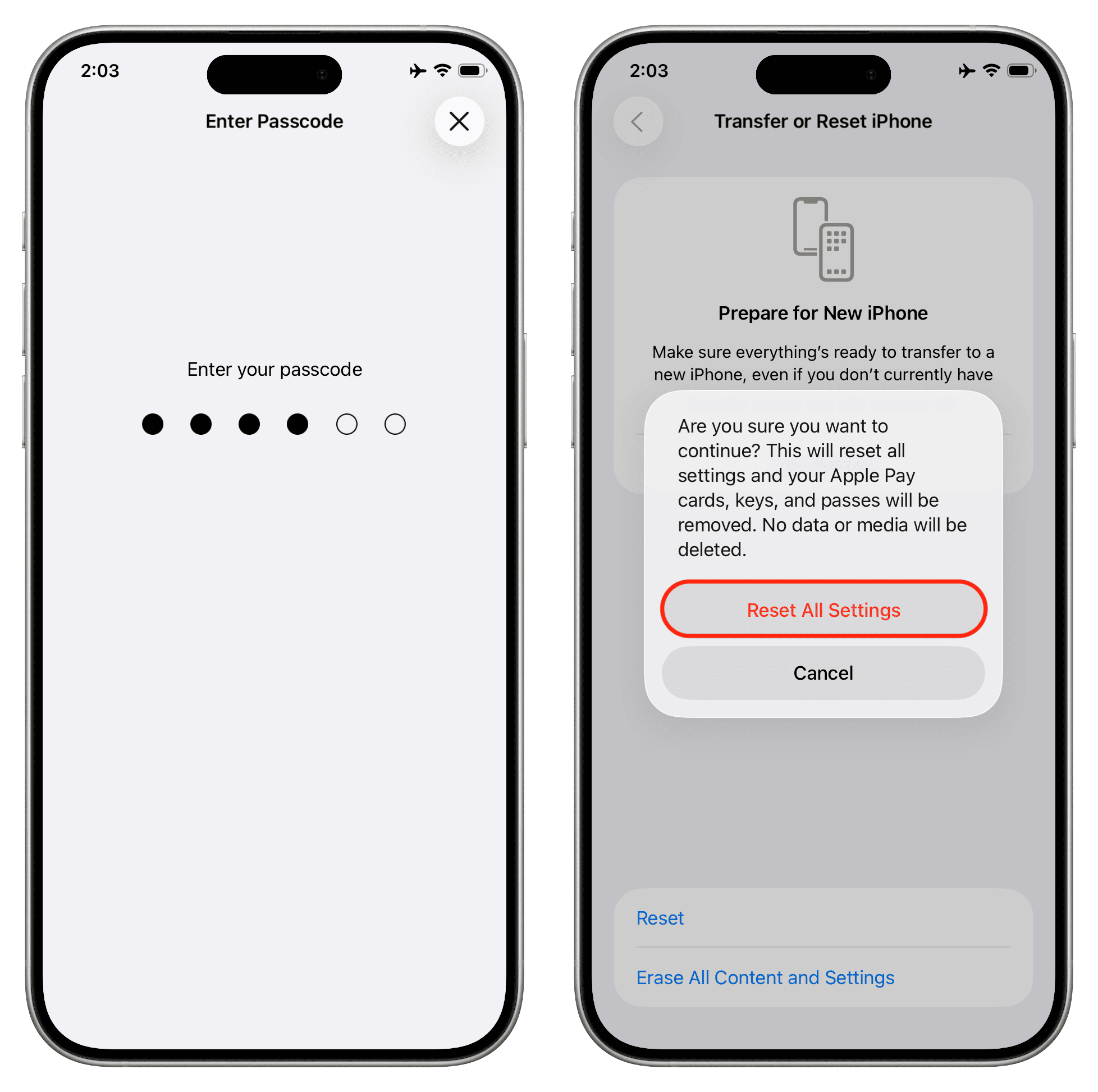 Bestätigen Sie, um alle Einstellungen auf dem iPhone zurückzusetzen