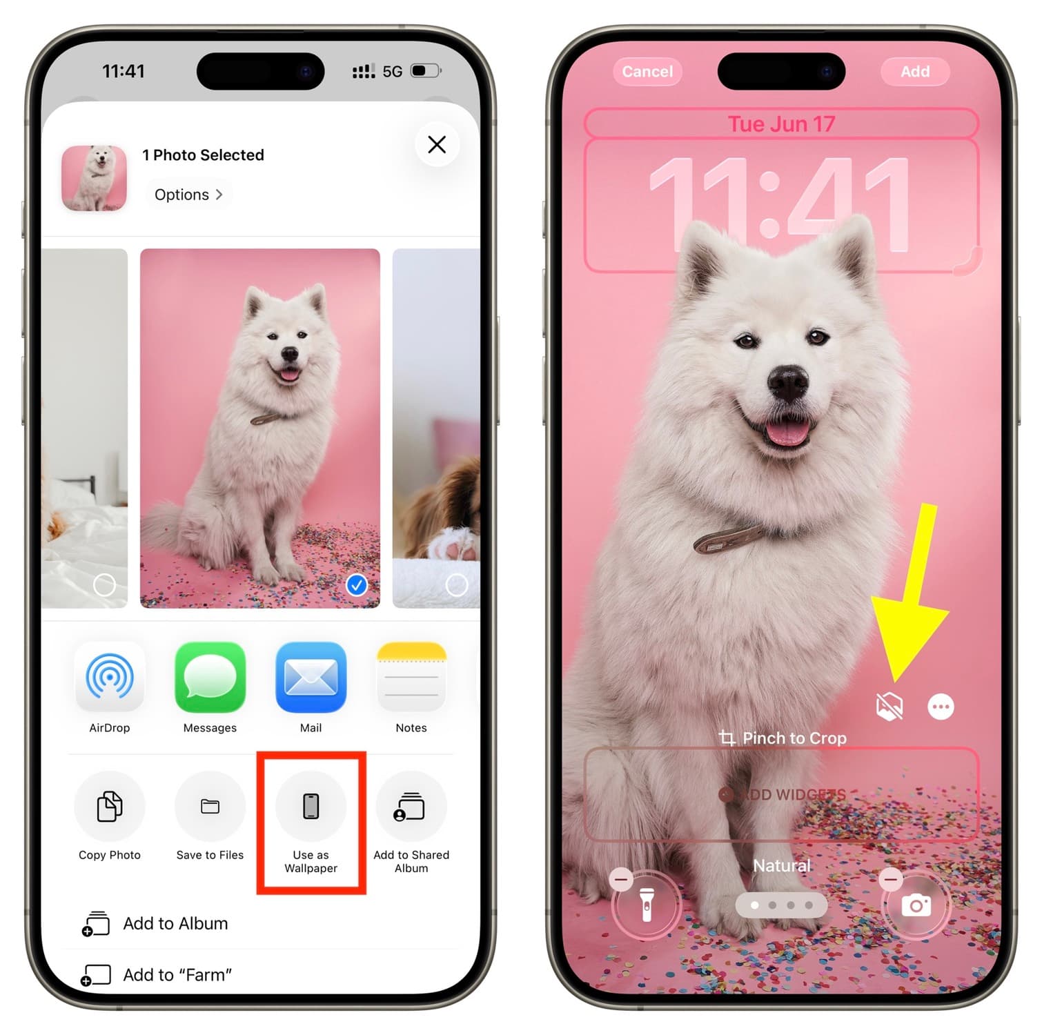 Tippen Sie auf die Verwendung als Hintergrundbild, gefolgt von einem räumlichen Szenensymbol auf dem iPhone