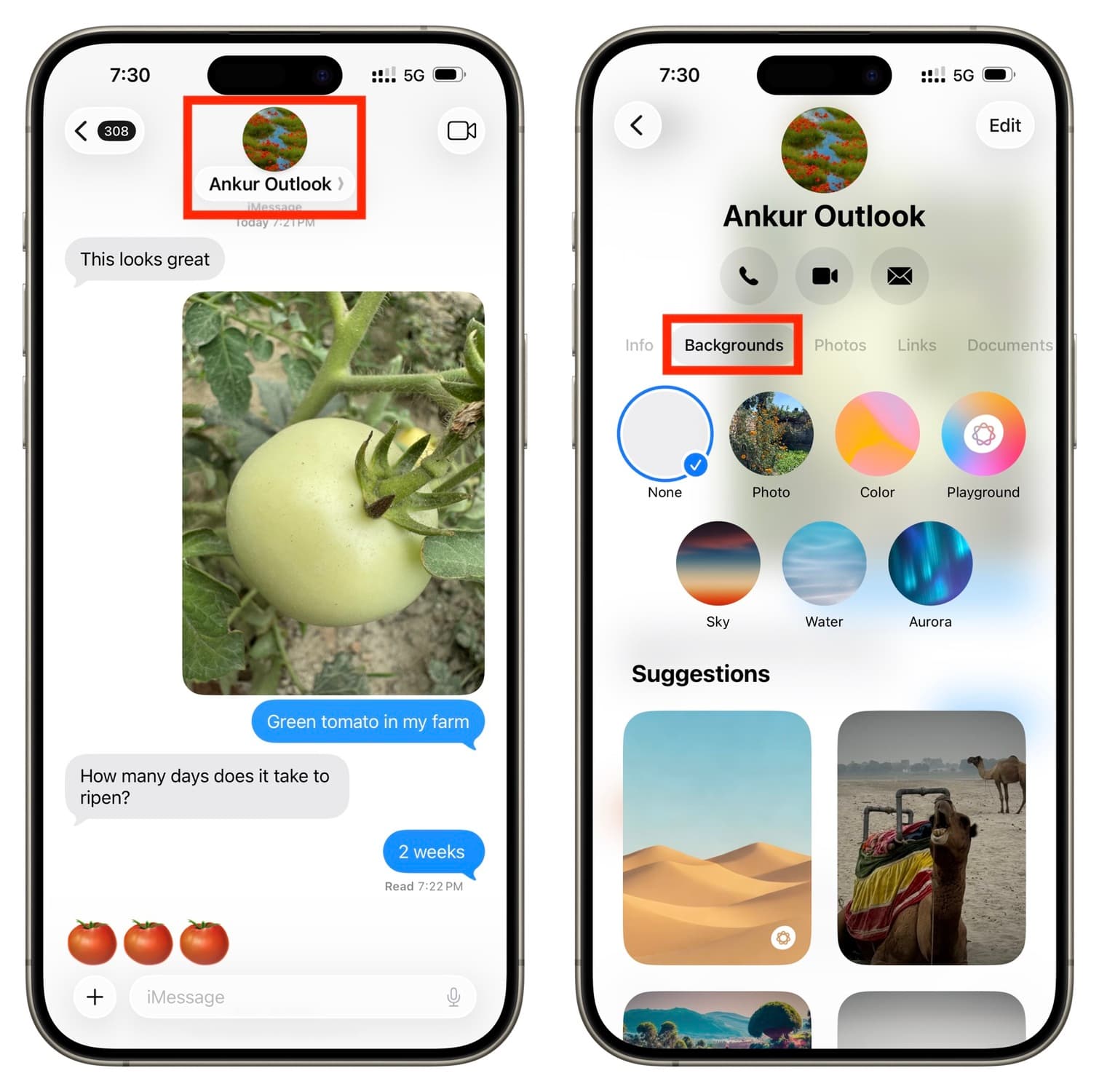 Tippen Sie auf Konversationsnamen und Hintergrund in iPhone -Nachrichten
