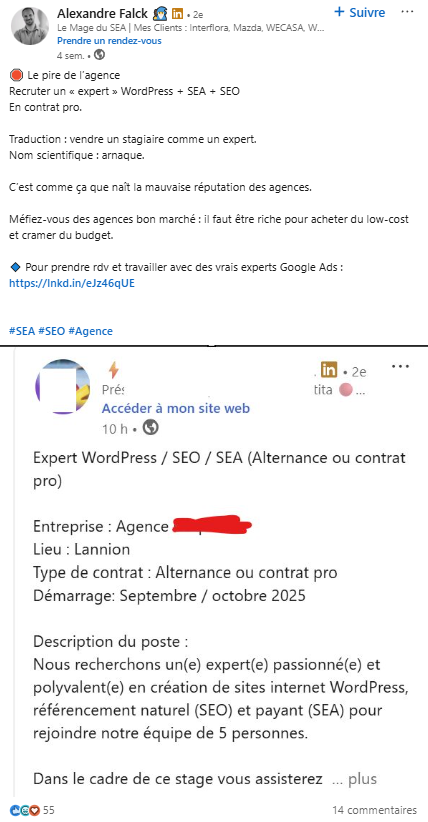Post LinkedIn Qui Alerte Sur Les Mauvaise Pratiques des SEO Bon Marché