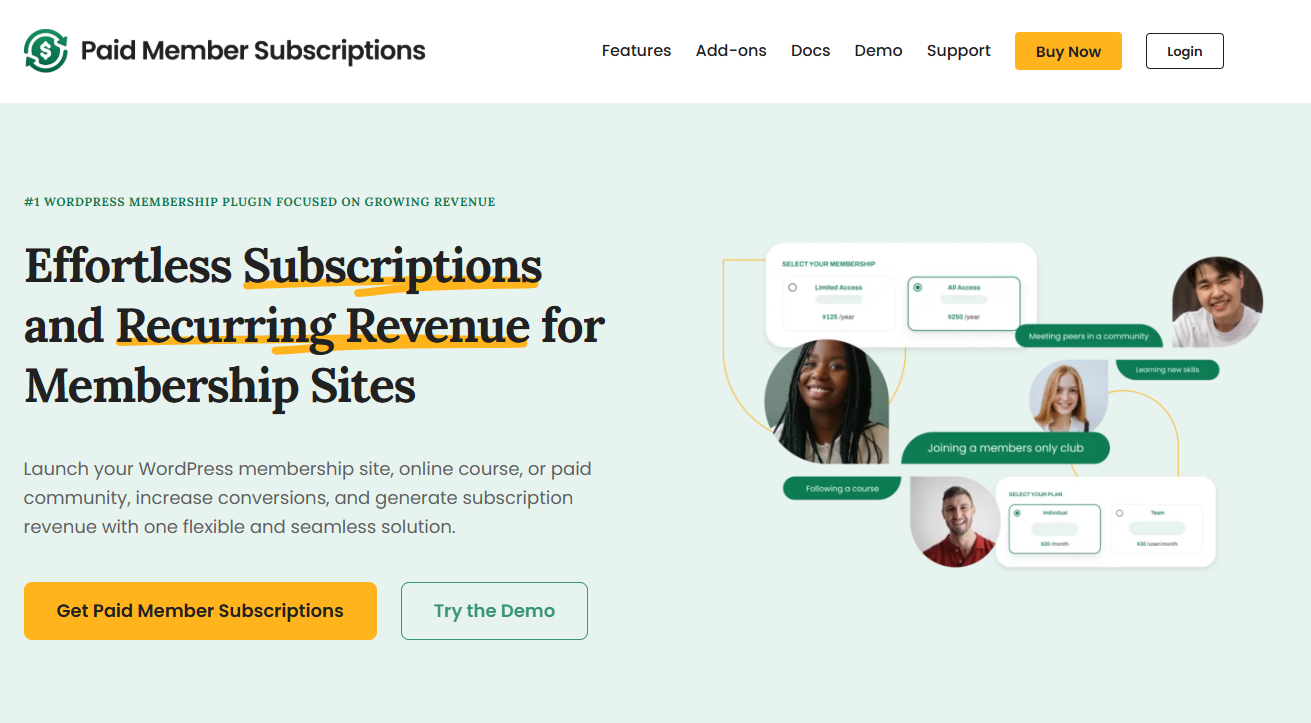 Bezahlte Mitgliederabonnements Homepage