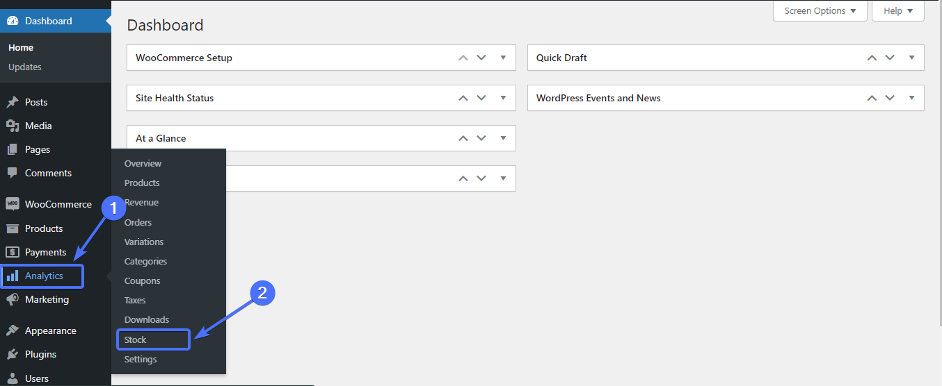 WP Dashboard
