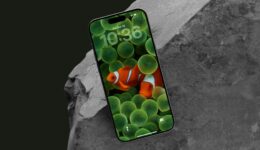 So verhindern Sie, dass Ihr iPhone das Hintergrundbild automatisch ändert