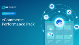 Verwandeln Sie WooⓇ in Wow! Vorstellung des neuen E-Commerce-Performance-Pakets
