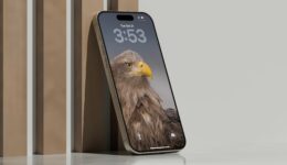 Hintergrundbild „Europäische Vögel“ für das iPhone
