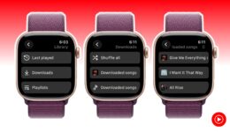 Kann man YouTube Music offline auf der Apple Watch nutzen?