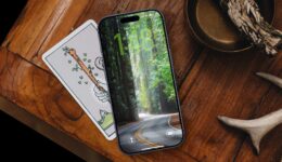 Hintergrundbild „Straße durch den Wald“ für iPhone