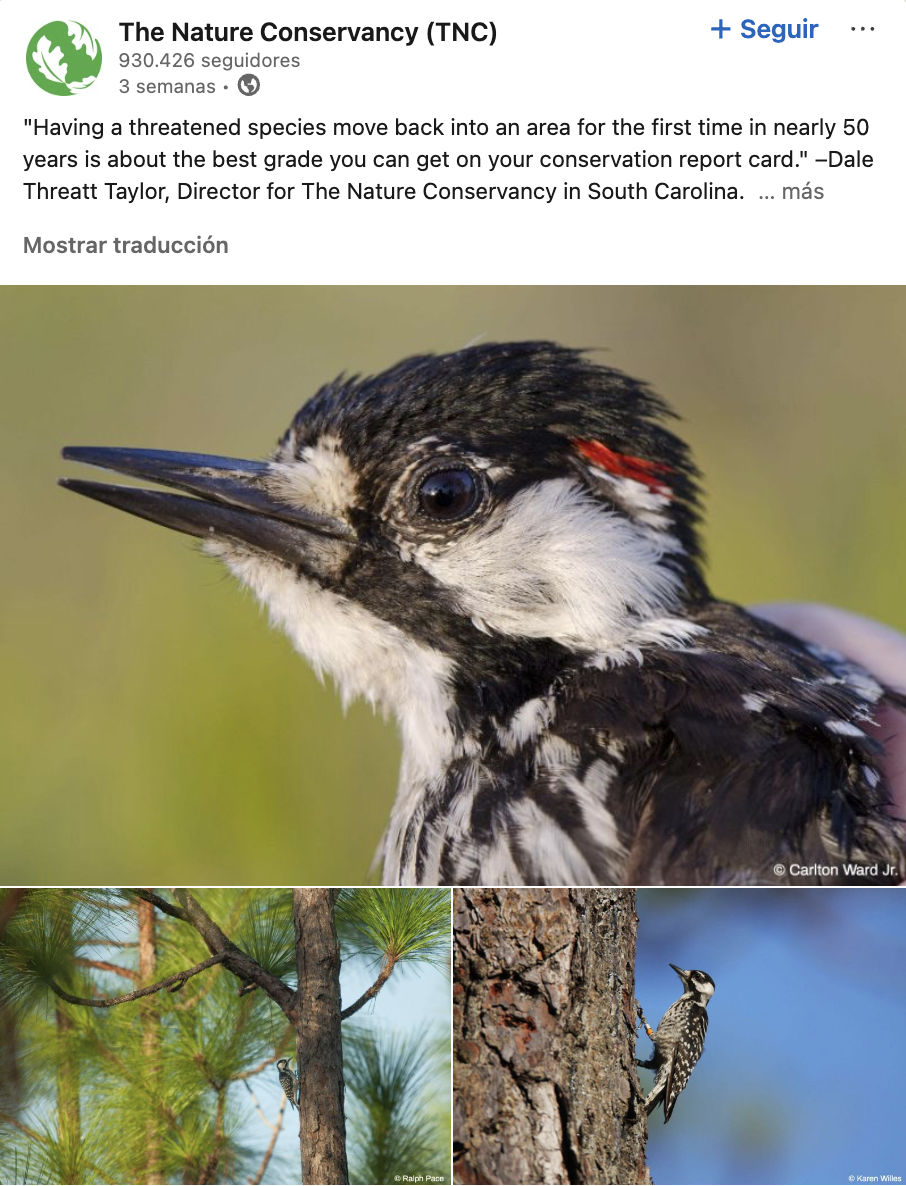 Fotos von Tieren zum Aussterben in der Veröffentlichung von The Nature Conservancy auf LinkedIn