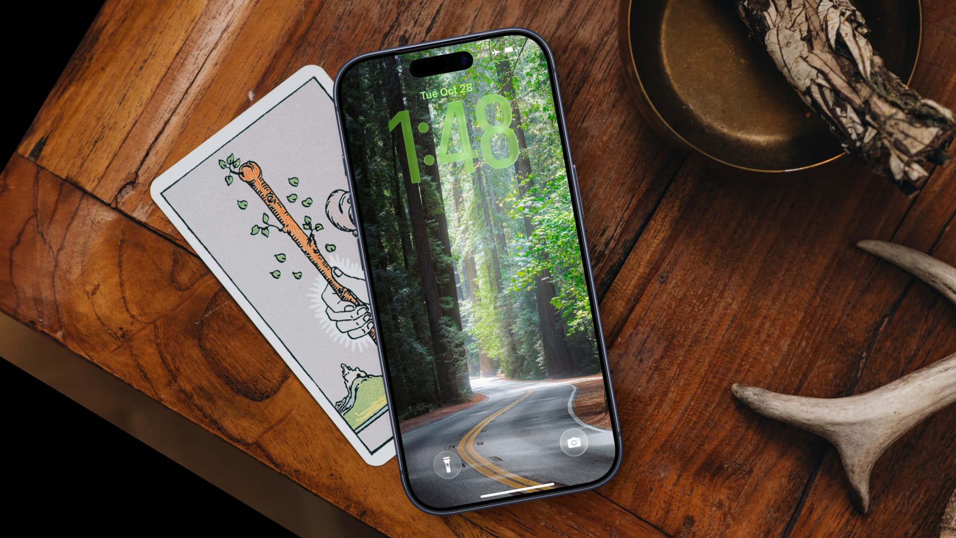 Straße durch Wälder und hohe Bäume Wallpaper für Smartphone