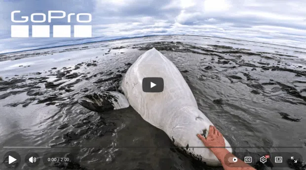 Youtube-Video von GoPro