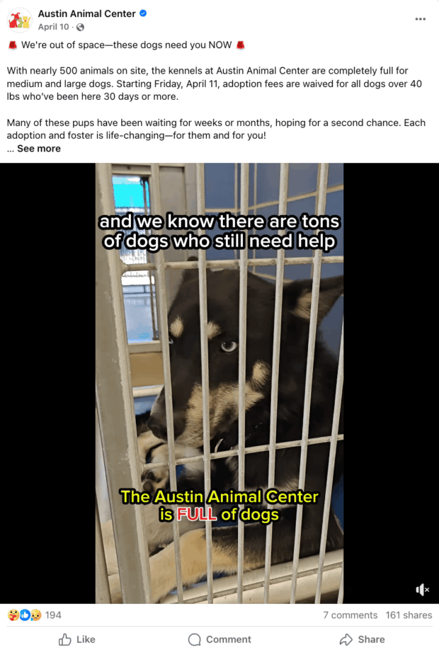 Ein Social-Media-Beitrag des Austin Animal Center, in dem dringend um die Adoption von Hunden aufgrund voller Zwinger gebeten wird, ein Beispiel für wirkungsvolle soziale Medien für gemeinnützige Organisationen im Tierschutz.
