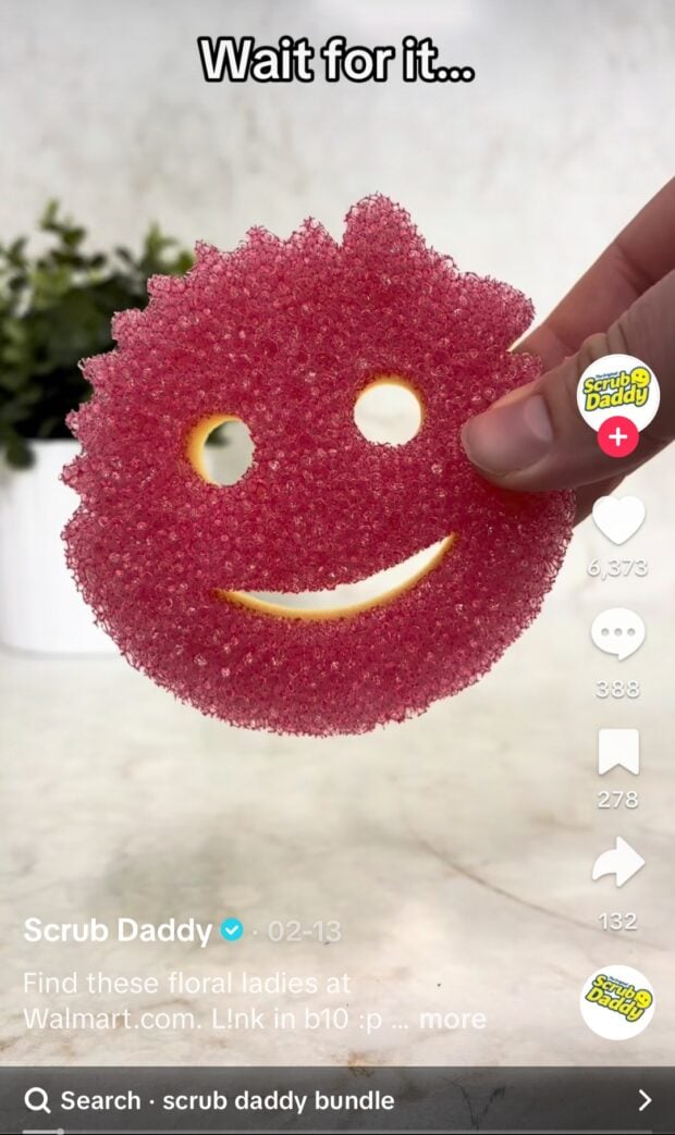 Scrub Daddy Tiktok Video Lowkey Ästhetik