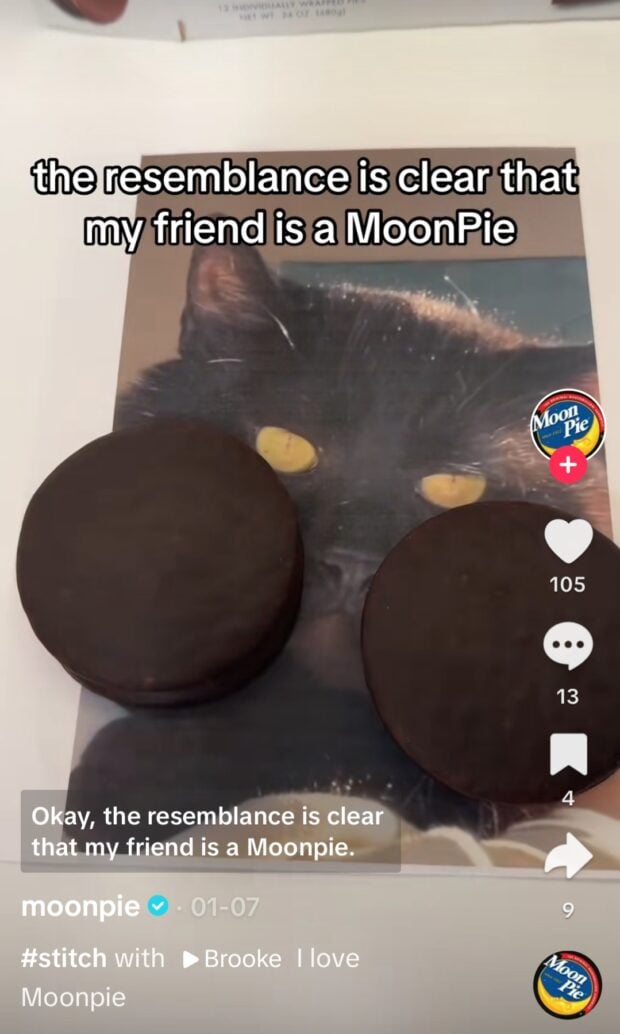 Ähnlichkeit ist klar, dass mein Freund ein Mondpie ist