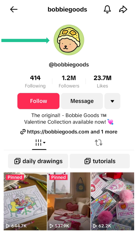 Bobbie Warenprofil Foto auf Tiktok