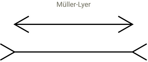 Screenshot von zwei Linien mit Pfeillinien an jedem Ende, die für jede Linie in unterschiedliche Richtungen zeigen, eine nach innen und die andere nach außen. Dadurch entsteht die Illusion, dass eine Zeile länger als die andere ist.